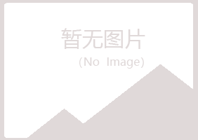 重庆江北山柳房地产有限公司